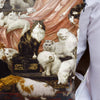 Rucksack Nr. 1 Carl Kahler „Die Liebhaber meiner Frau“