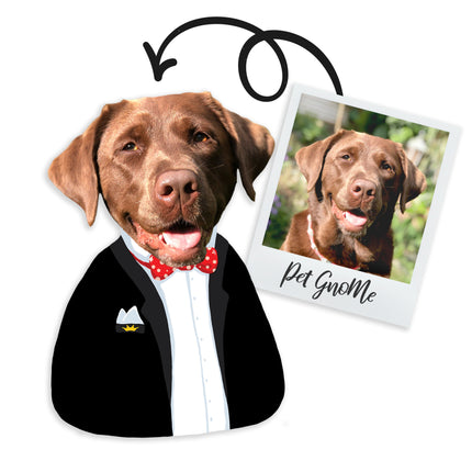 Personalisiertes GnoMe-Kissen „Kavalier“