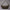 Hobo bag „Bienen