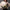 Hobo bag Imagine „Alice und der Hutmacher“