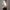 Hobo bag Gregorius van Os „Stillleben mit Blumen“