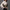 Hobo bag Imagine „Alice und der Hutmacher“