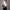 Hobo bag Imagine „Alice und der Hutmacher“