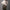 Rucksack Nr. 3 „Bienen