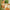 Tischdecke aus recyceltem Stoff Vincent van Gogh „Sonnenblumen-Muster“