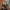 Reisetasche Imagine „Alice und der Hutmacher“